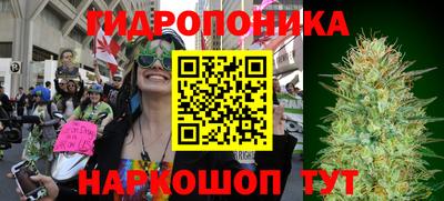 бошки Донецк