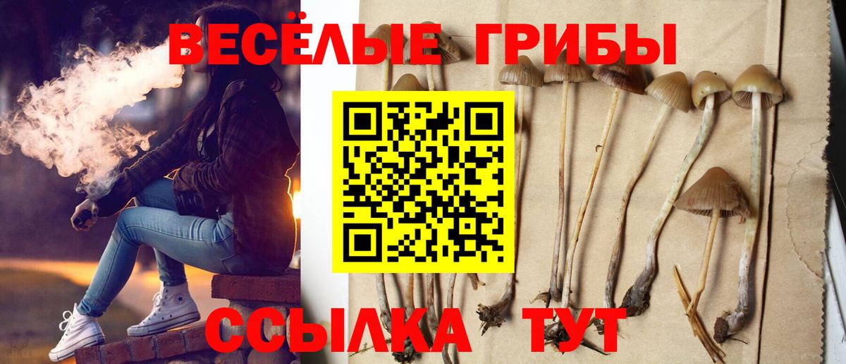 Галлюциногенные грибы Cubensis Магадан